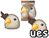 Birb