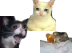 frutas cat Cursor Set thumbnail