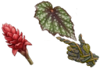 BloodArt : GardenPlayground Teaser