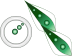 Green Arrowcursor set teaser