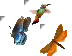 Nature Teaser