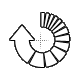 Cursor19.cur 200% version