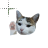 1778987398198.png Preview