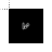 1000263324.png Preview