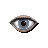 examine00.ani Preview