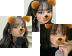 AESPA BEARSicon set teaser
