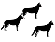 Dog Tink Emotions Teaser