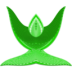 etoile-green 1-Worship.ico Preview