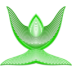 etoile-green 2-Worship.ico Preview