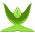 etoile-olive 1-Worship.ico Preview