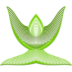 etoile-olive 2-Worship.ico Preview