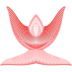 etoile-red 2-Worship.ico Preview