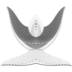 etoile-silver 1-Worship.ico Preview
