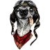 dog pilot.ico Preview