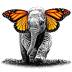 elephant with butterflys v2.ico Preview