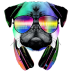 DJ Dog.ico Preview