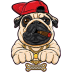 -snoop- dog.ico Preview