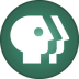 Shynkarenko Air Browser Icon.ico Preview
