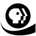 Shynkarenko Installer Icon (Flat).ico Preview