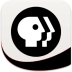 Shynkarenko Installer Icon.ico Preview