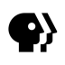 Shynkarenko Media Group icon (inverted).ico Preview
