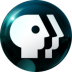 Shynkarenko Media Player.ico Preview