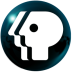 Shynkarenko Media Player Icon (2026).ico Preview