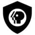 Shynkarenko Windows 11 Protection (2026).ico Preview