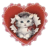 kitten 2.ico Preview