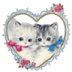 kitten 1.ico Preview