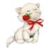 kitten 4.ico Preview
