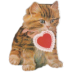 Shy Orange Kitten.ico Preview