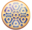 USCSS_Nostromo_SO_Logo.ico Preview