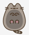 paw pusheen.png Preview