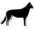 dog.svg Preview