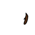 hairsides_hairsides-darkbrown_Layer 86.png